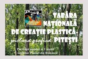 A început „Pitești Art” - Tabăra Națională de Creație Plastică - pictură, grafică, ediția a IX-a! 16 Pitești Art