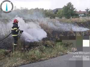 Vremea a făcut ravagii în Argeș: copaci căzuți, trafic îngreunat 3 c23b2629 01ff 47e9 a46e e56b5f13abe4 - Vremea a făcut ravagii în Argeș: copaci căzuți, trafic îngreunat