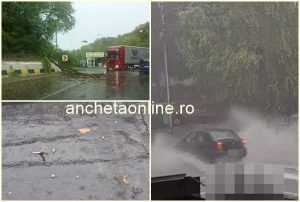 Vremea a făcut ravagii în Argeș: copaci căzuți, trafic îngreunat 1 cats - Vremea a făcut ravagii în Argeș: copaci căzuți, trafic îngreunat