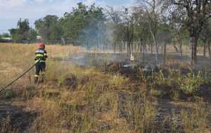 Două incendii de vegetație uscată în Argeș 1 479beb69 73a6 4320 b4f8 c8e46d9058bf - Două incendii de vegetație uscată în Argeș