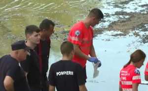 cats 4 - Tragedie pe râul Timiș: un tată s-a înecat salvându-și fiica de la înec