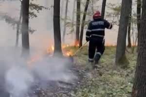 (VIDEO) Alte trei incendii de vegetație în Argeș 2 05aa9f8d 079a 4712 b44a 50f9c3d6050c - (VIDEO) Alte trei incendii de vegetație în Argeș