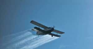 dezinsectie la Bradu