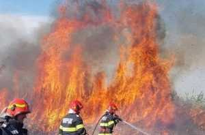 Peste 800 de hectare de teren afectate, în doar 24 de ore, de arderile necontrolate 30 incendiu-vegetatie-tulcea-flacari-pompieri-e1660502428477