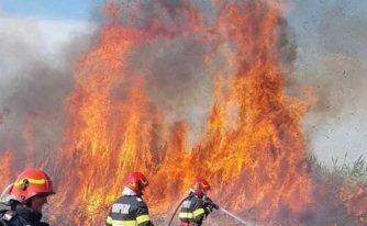 incendiu-vegetatie-tulcea-flacari-pompieri-e1660502428477