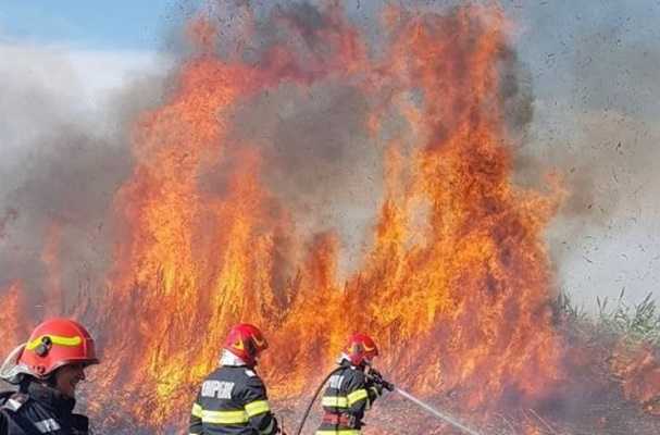 incendiu-vegetatie-tulcea-flacari-pompieri-e1660502428477