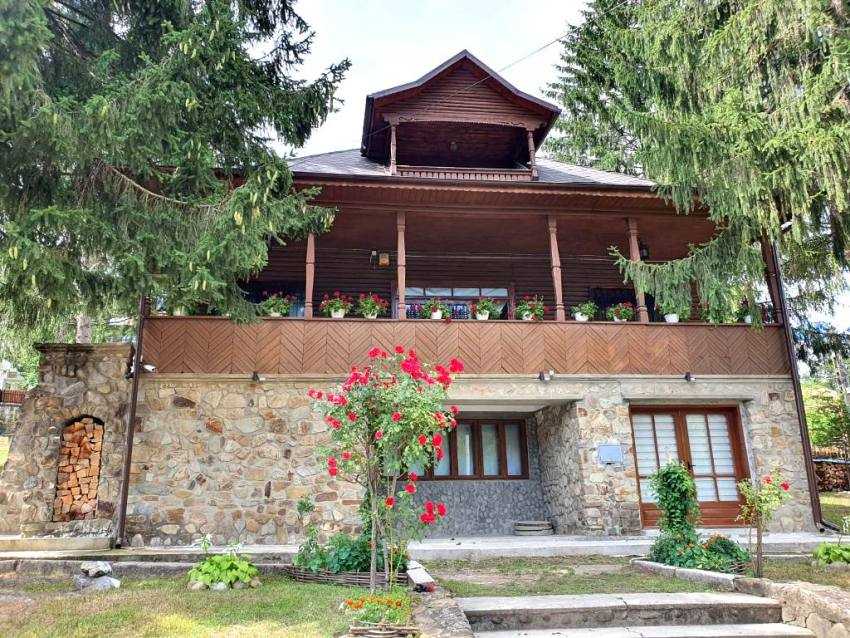 Locul din România unde poate fi văzut cel mai valoros chihlimbar negru din lume 1 muzeul chihlimbar