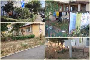 page - Polițiștii locali piteșteni au dat amenzi pentru ocuparea ilegală a domeniului public