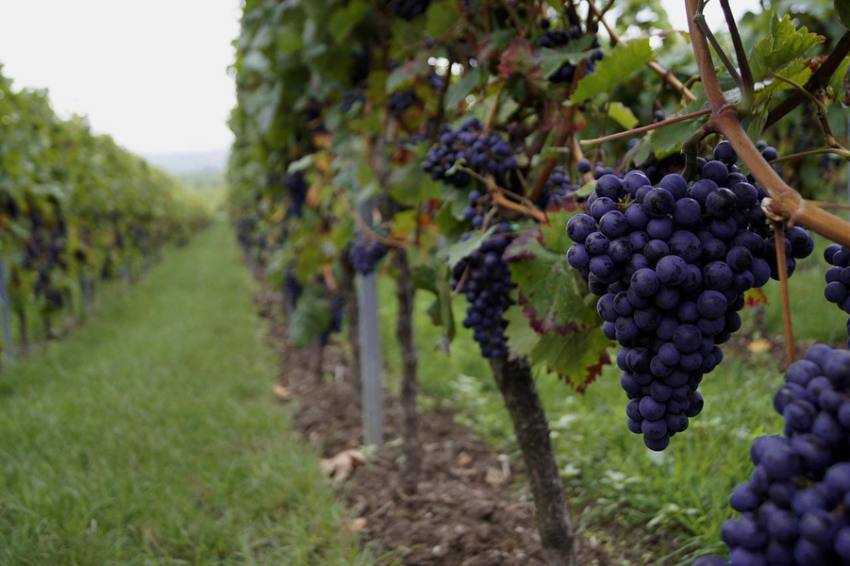 Sursă foto: FB MADR