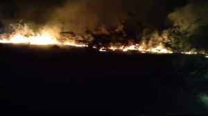 (Video) Incendiu puternic la Câmpulung! A fost afectată o suprafață de aproximativ 2.500 mp 1 incendiu vegetatie