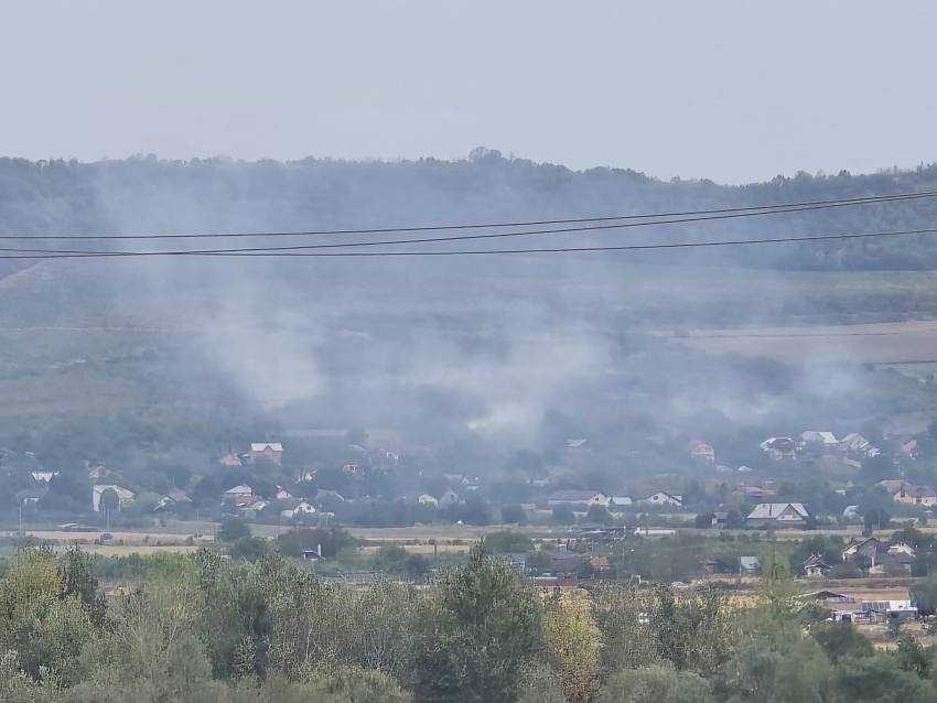 Incendiu de vegetație la Călinești! Pompierii au intervenit și în localitățile Recea și Izvoru! 2 incendiu vegetatie Topoloveni