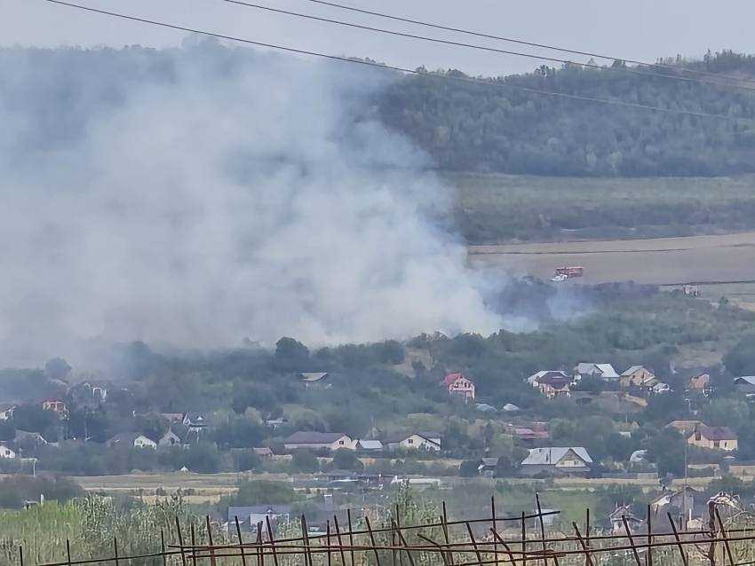 Incendiu de vegetație la Călinești! Pompierii au intervenit și în localitățile Recea și Izvoru! 1 incendiu vegetatie Topoloveni