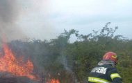 incendiu Argeș