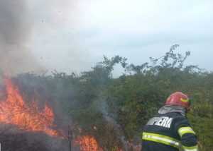 Incendiu de vegetație la Călinești! Pompierii au intervenit și în localitățile Recea și Izvoru! 1 incendiu Argeș