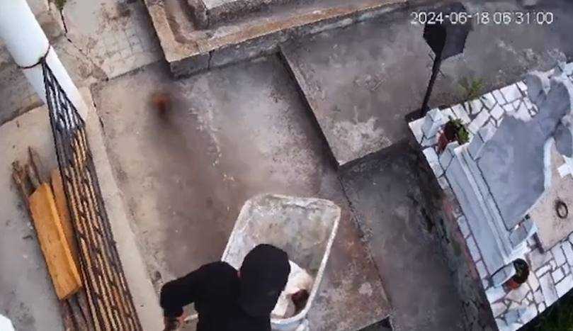 barbat Câmpulung profanator morminte