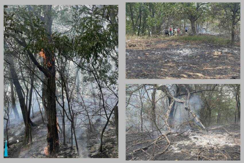 incendiu langa padure Coșești incendiu langa padure Coșești