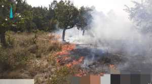 1b069e31 78ef 41ee 81b3 01f1b98d43b2 - Alte patru incendii de vegetație! Șapte hectare de teren distruse de arderile necontrolate