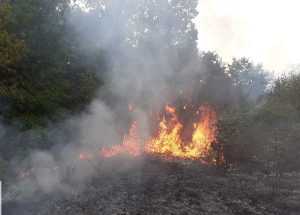 Alte patru incendii de vegetație! Șapte hectare de teren distruse de arderile necontrolate 2 30dc033d 4a4d 44ac 8401 8f76c4ffbb13 - Alte patru incendii de vegetație! Șapte hectare de teren distruse de arderile necontrolate