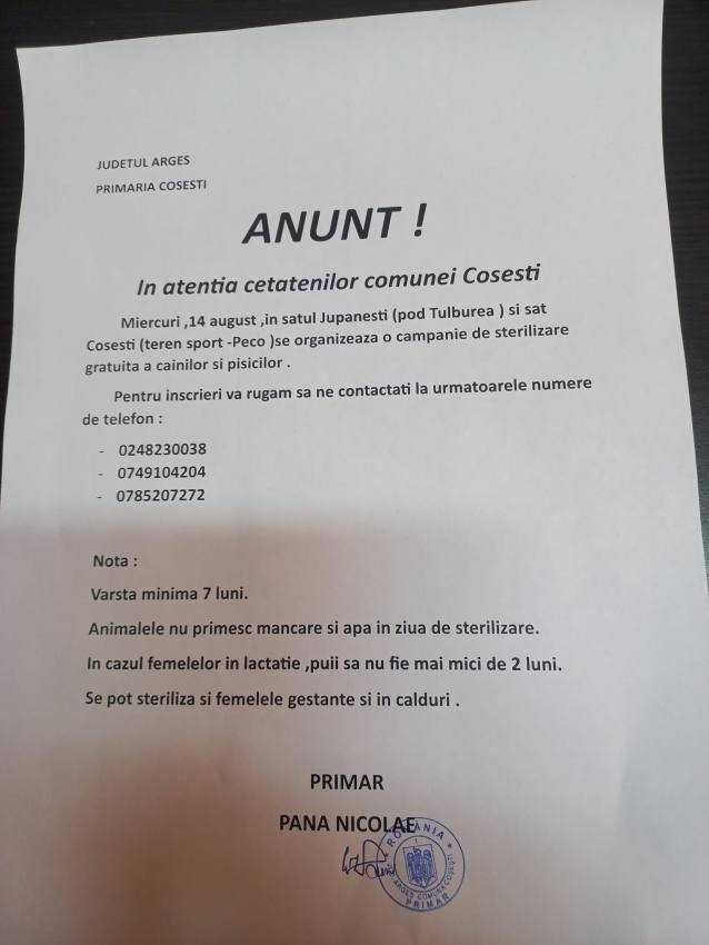 453729522 819541863646956 5559407176303836476 n - Campanie de sterilizare gratuită a câinilor și pisicilor la Coșești
