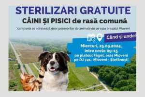 S.Ed.C Mioveni organizează o nouă campanie de sterilizare 1 S.Ed.C Mioveni