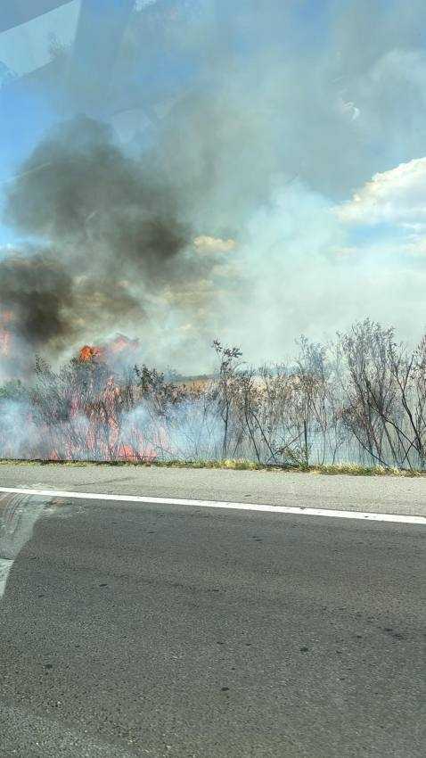 Incendiu de vegetație pe autostrada A1 București-Pitești! Trafic blocat! 1 incendiu A1