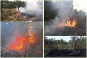 page 1 - Alte patru incendii de vegetație! Șapte hectare de teren distruse de arderile necontrolate