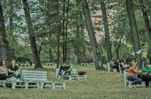 Sâmbătă, 31 august, a marcat finalul serilor de filme din cadrul FilmFest ADE Pitești 16 Sursă foto: Facebook Primăria Municipiului Pitești.