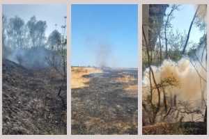 Alte incendii de vegetație în Argeș! Flăcările au distrus peste 9.000 mp de teren 19 incendii vegetație Argeș