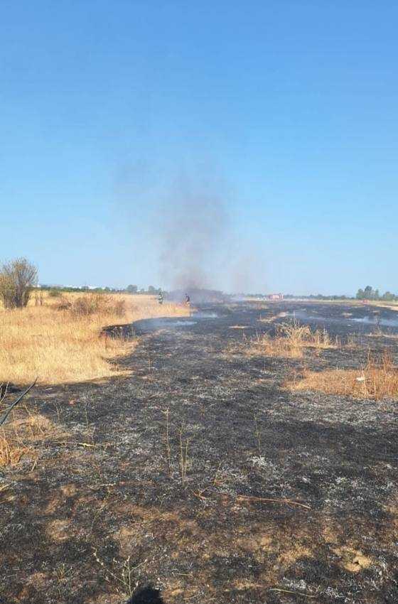 Alte incendii de vegetație în Argeș! Flăcările au distrus peste 9.000 mp de teren 3 incendii vegetație Argeș