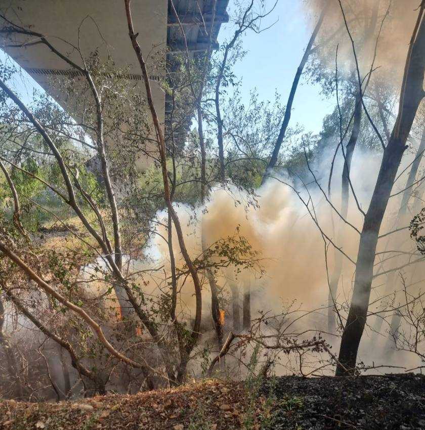 Alte incendii de vegetație în Argeș! Flăcările au distrus peste 9.000 mp de teren 1 incendii vegetație Argeș