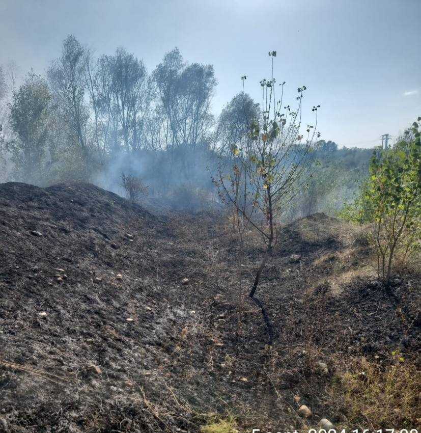 Alte incendii de vegetație în Argeș! Flăcările au distrus peste 9.000 mp de teren 2 incendii vegetație Argeș