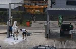 img - Imagini inedite: Și-au dus calul la spălătorie