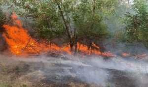 Nicio zi fără foc! Incendiile de vegetație continuă în Argeș! 1 098ca74a 5406 4183 93b5 1429b151750c - Nicio zi fără foc! Incendiile de vegetație continuă în Argeș!