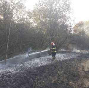 39a813d8 a328 4625 9ae7 84c3934ab245 - Nicio zi fără foc! Incendiile de vegetație continuă în Argeș!
