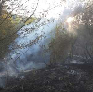 6cd8810e 055d 4500 9744 6ab9a2eea3ab - Nicio zi fără foc! Incendiile de vegetație continuă în Argeș!