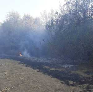 df8e484b 4224 49c4 8426 e93010397835 1 - Nicio zi fără foc! Incendiile de vegetație continuă în Argeș!