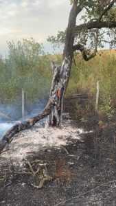 e96cfafb 85f2 4ee7 8959 af03d538bae4 - Nicio zi fără foc! Incendiile de vegetație continuă în Argeș!