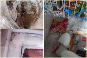 page 1 - Amenzi de peste 2,5 milioane de lei și tone de produse alimentare congelate retrase de la vânzare de ANPC