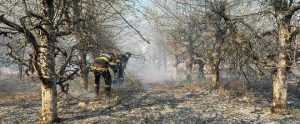 incendiu mm - Incendiu puternic de vegetație în Maramureș. Sute de pompieri se luptă cu flăcările