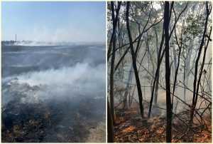 page 1 - Incendii în trei localități din Argeș! Peste 2 hectare de teren distruse de flăcări