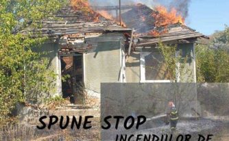 incendii argeș