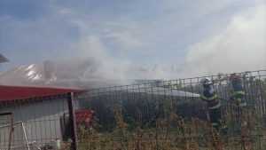 incendiu anexa la Bradu