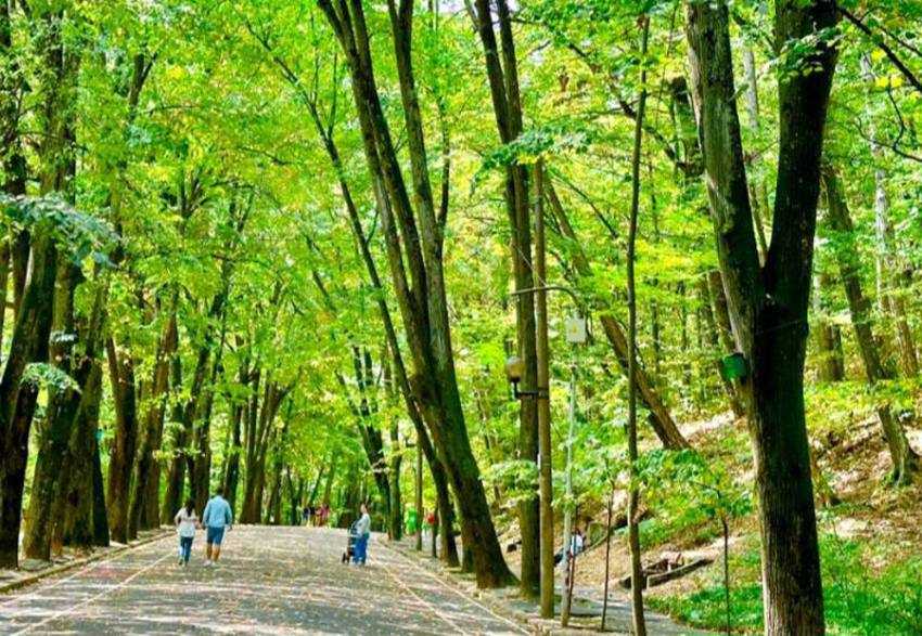 Sursă foto: FB Cristian Gentea