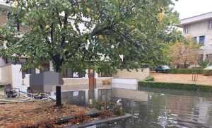 868e415a 7430 496e ad2a 3c9c310bf458 - Vremea rea a făcut ravagii în Argeș