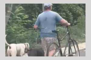 (Video) Argeșean amendat de jandarmi! Nu a pus botniță câinilor pe care îi plimba! 1 Untitled Project 13 - (Video) Argeșean amendat de jandarmi! Nu a pus botniță câinilor pe care îi plimba!