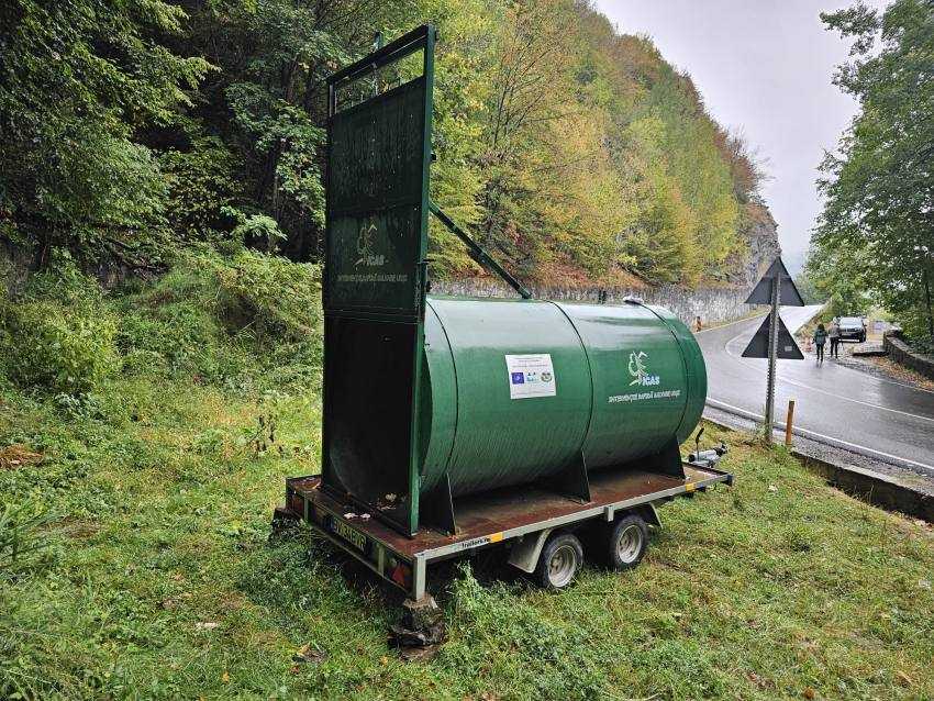 (Video) ARGEȘ. A început relocarea urșilor de pe Transfăgărășan! 2 ursi Transfăgărășan