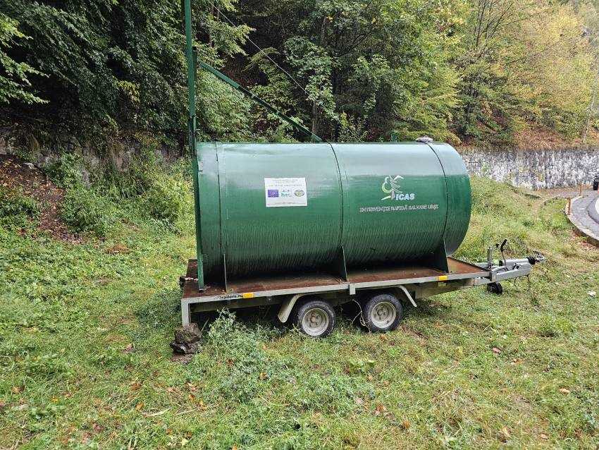 (Video) ARGEȘ. A început relocarea urșilor de pe Transfăgărășan! 1 ursi Transfăgărășan