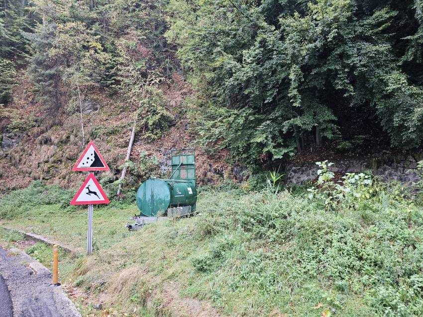 ursi Transfăgărășan ursi Transfăgărășan