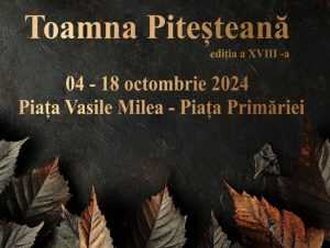 Sursă foto: Primăria Municipiului Pitești.