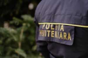 Penitenciarului Spital-Mioveni